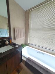 The Imperial (D9), Condominium #472182121